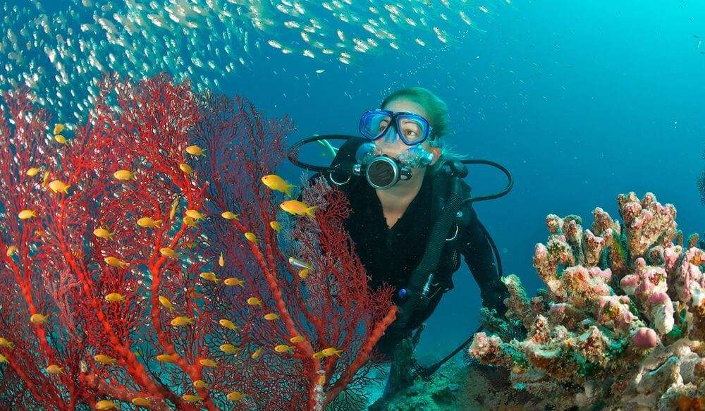 Scuba diving in Seychelles