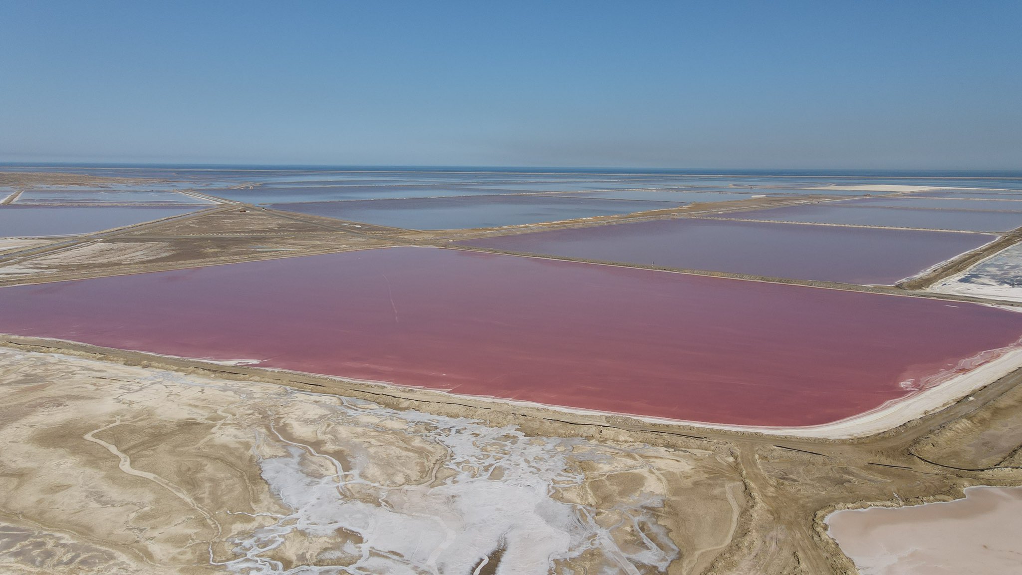 Pink Lake Namibia