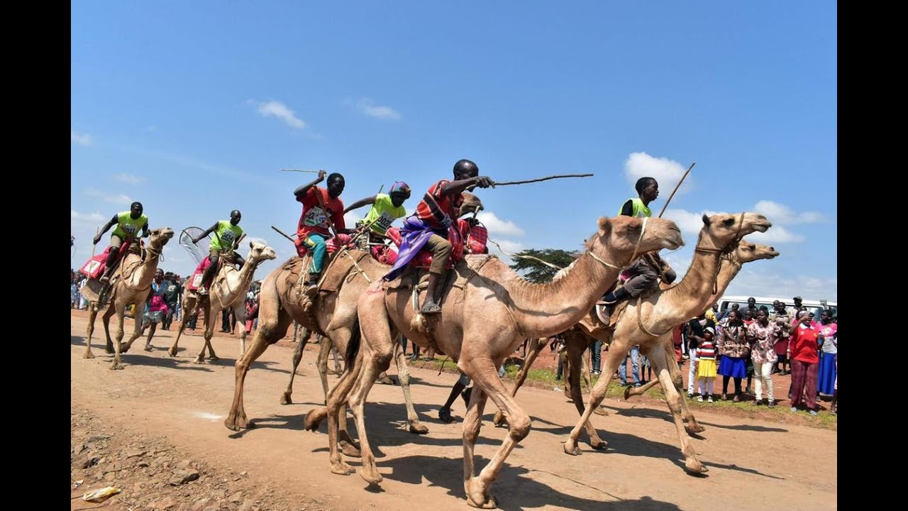 maralal international camel derby 2023